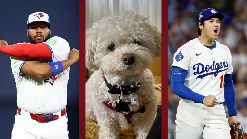 World Series predictions: Man vs dog pick Dodgers vs Blue Jays World Series predictions: Man vs dog pick Dodgers vs Blue Jays