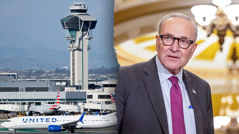 Americans could face airport chaos if Dems don’t end shutdown, Trump official warns Americans could face airport chaos if Dems don’t end shutdown, Trump official warns